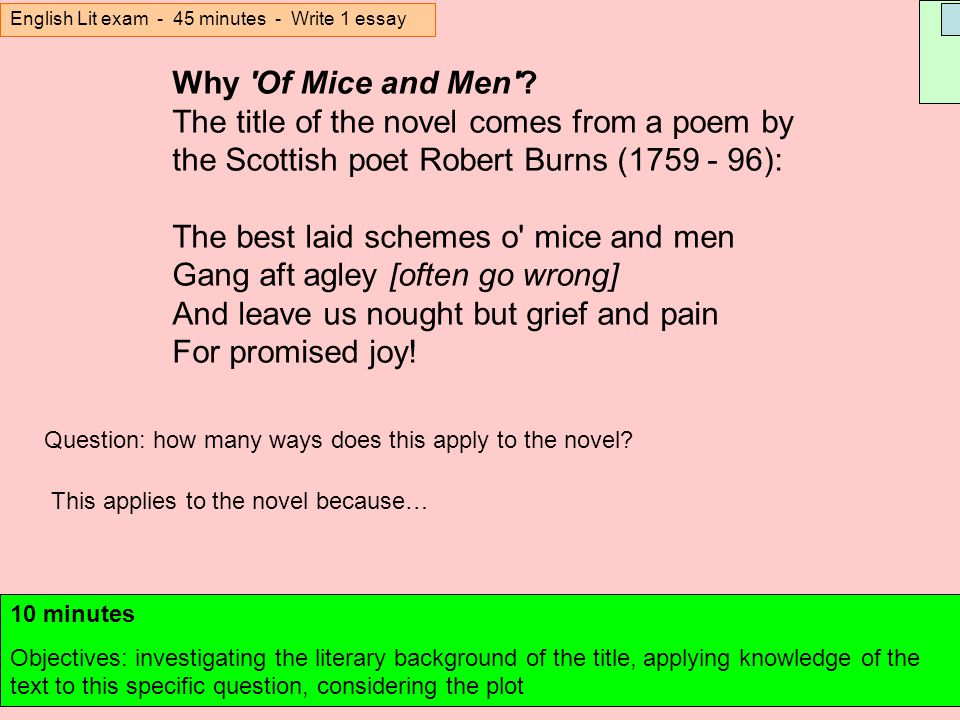 Of mice and men year 10 essay